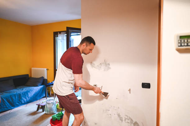 Best Same-Day Mold Removal  in Harrisonburg, VA